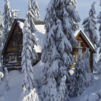 ¡La gran nevada llegó!