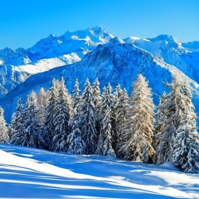 Esquí Desde Las Alturas- Estrella Martín