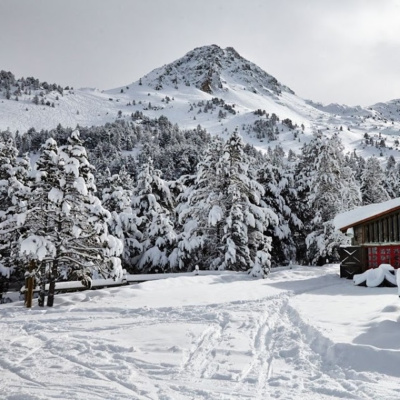 Esquí Desde Las Alturas- Estrella Martín