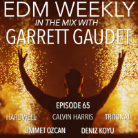 EDM Weekly Episode 65