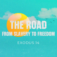 The Road from Slavery to Freedom