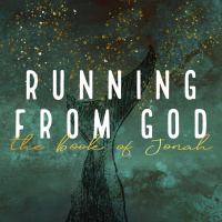 Hitting Bottom (6/11/17)