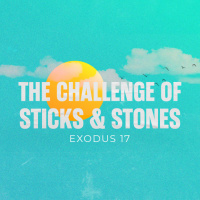 The Challenge of Sticks  Stones