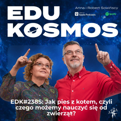 Od Nauczania Do Uczenia Si