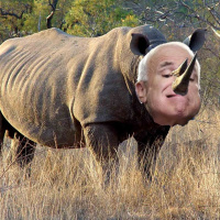 Steel City Resistance - SCR#333 The Slow Death of the GOP