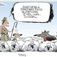 Steel City Resistance - SCR#316 Sanctuary Cities and States Have Seceded from the Union