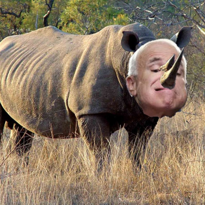 Steel City Resistance