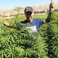 Jerrys Talk at Oberlin College