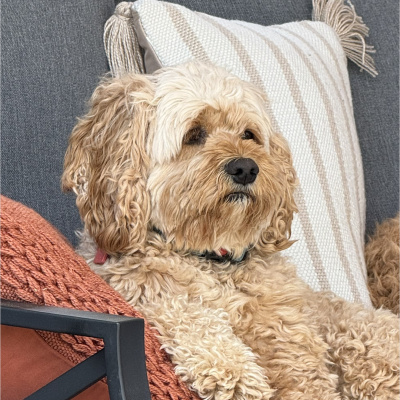 Kat Stevens  Fray Podcast