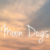 Duluth Band Profile: Moon Dogs