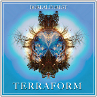 Duluth Band Profile: Boreal Forest