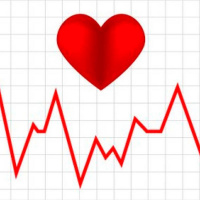 ¿Sabías que el corazón de la mujer late más rápido que el del hombre?