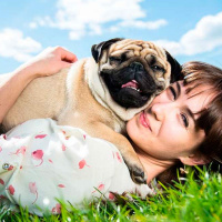 El cerebro de un perro