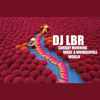 DJ LBR WONDERFULL WORLD