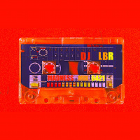 DJ LBR MADNESS MIX 0421 !!