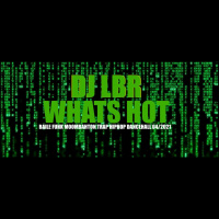 DJ LBR MADNESS whats hot ?