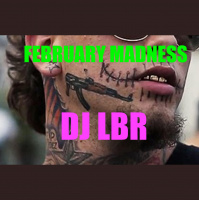DJ LBR MADNESS MIX 0222