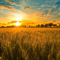 1340.IllGo.NewMusic:LiveCDJMixBy:RichardVasquez.aka.Dr.LoveMB