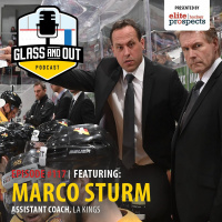 LA Kings Assistant Coach Marco Sturm: The Rise of German Hockey