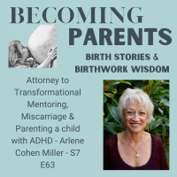 Attorney to Transformational Mentoring, Miscarriage amp Parenting a child with ADHD - Arlene Cohen Miller - S7 E63