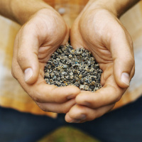 Going Local with Bill McKibben