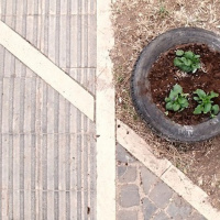 DIY Community Project Call