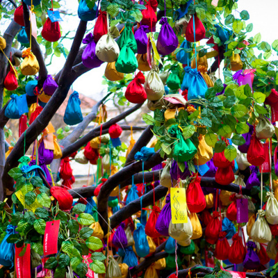 Orton Family Foundation