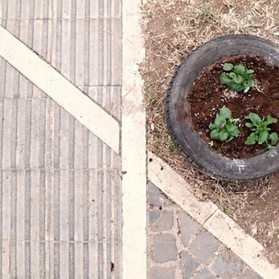 Orton Family Foundation