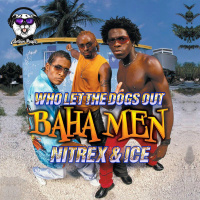 Baha Men - Who Let the Dogs Out (Nitrex  Ice Remix) (Radio Mix)