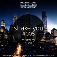 DJ ICE - Shake You #005 [www.djice.ru]