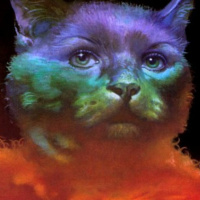 SALOME Mixtape vol. 10: Circus of Dreams Dance Party