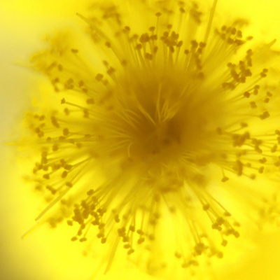 Casual Friday : Podcast Page 1