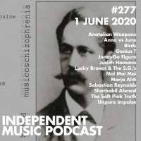 #277 - The Soft Pink Truth, Marja Ahti amp Judith Hamann, Anatolian Weapons, Sebastian Reynolds, Birds - 1 June 2020