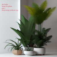 Deep Energy 1234 - Music for Plants - Part 1