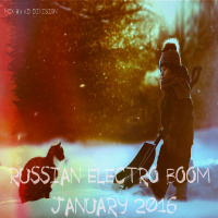 KD Division @ Russian Electro Boom (January 2016)