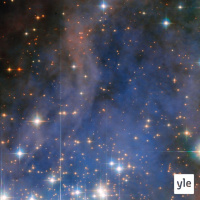 Webben 30 år senare / Vad är popcornhjärna?