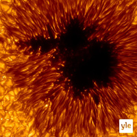 Vad är solfläckar och varför ska jag bry mig?