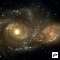 Teorin om Allting och universums fyra superkrafter