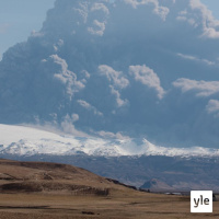 Tre år ur historien som får 2020 att se ut som rena picknicken