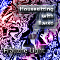 Housesitting 17 Frauzne Light