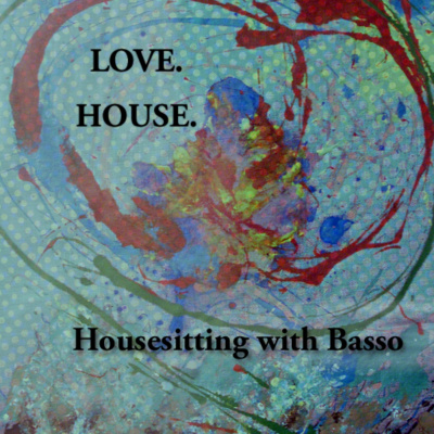 Housesitting With Basso