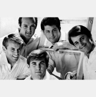 ’Rockhistorier’ hylder Beach Boys: ”De var meget bedre end dem, der så cool ud”