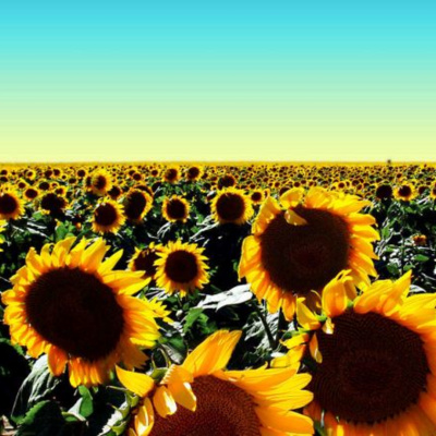 Dave Allison (kinjo Music) Podcast