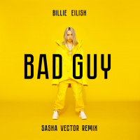 Billie Eilish - Bad Guy (Sasha Vector Remix)