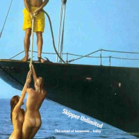 Emeli Sandé, Skipper Unlimited - Here It Comes (Missing You Remix)