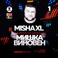 MISHA XL - MISHKA VINOVEN 308 - DFM LIVE MIX #308