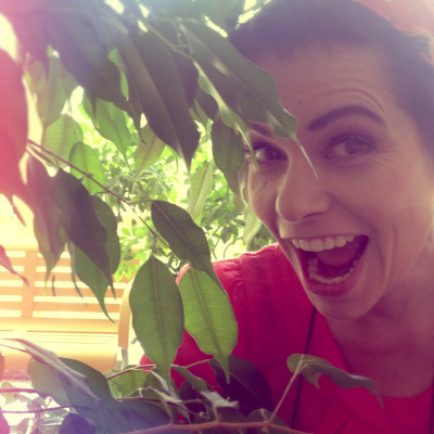 Catchy  Finska Pinnar