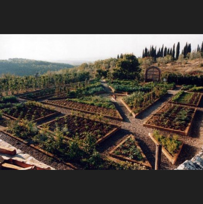 Tkpc - These Kids Podcast