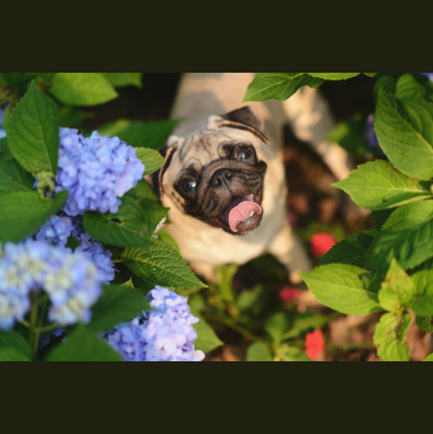 Tkpc - These Kids Podcast