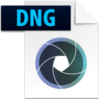 Formatos Raw 1 (NEFCRWDNG)